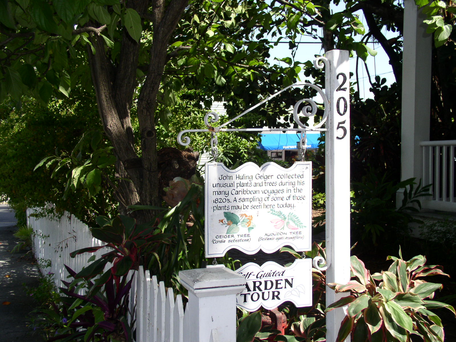 photo1